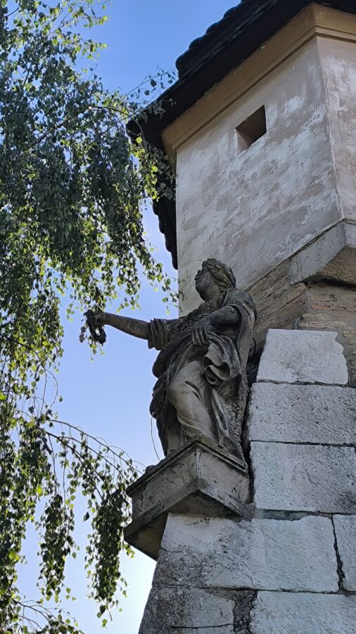 IMG 20260522