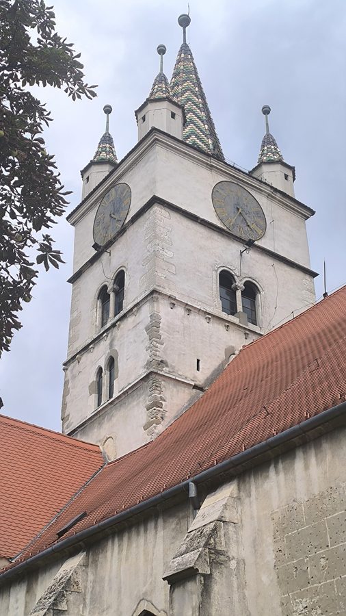 IMG 20260913